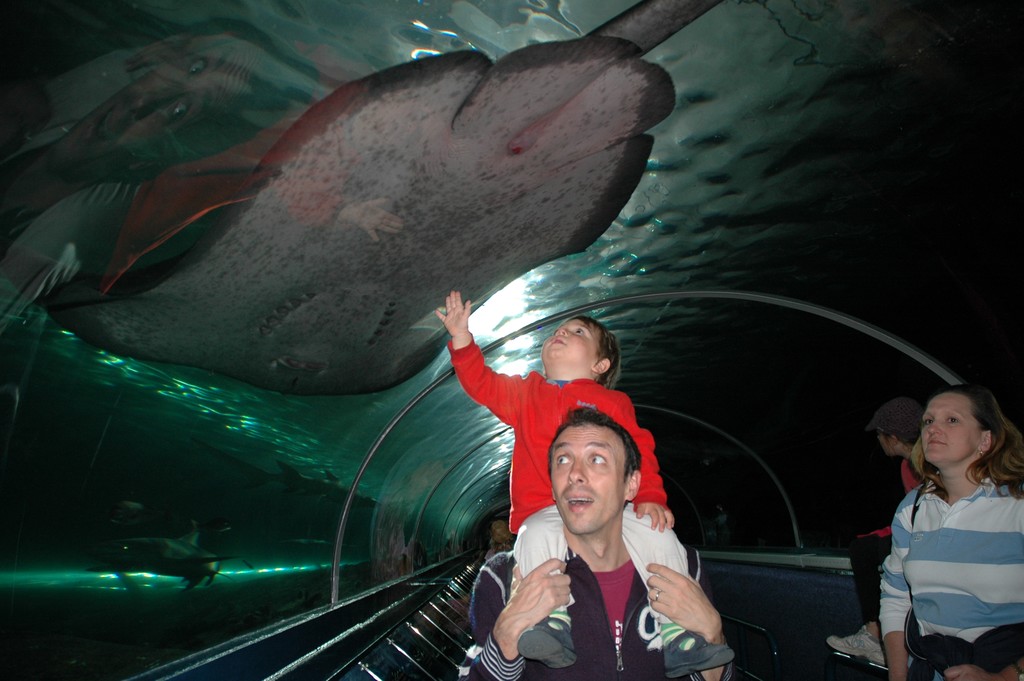 Aquarium